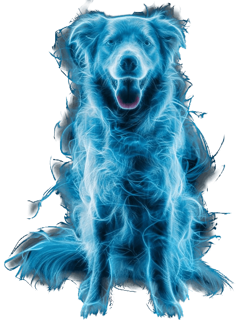 glowing blue dog